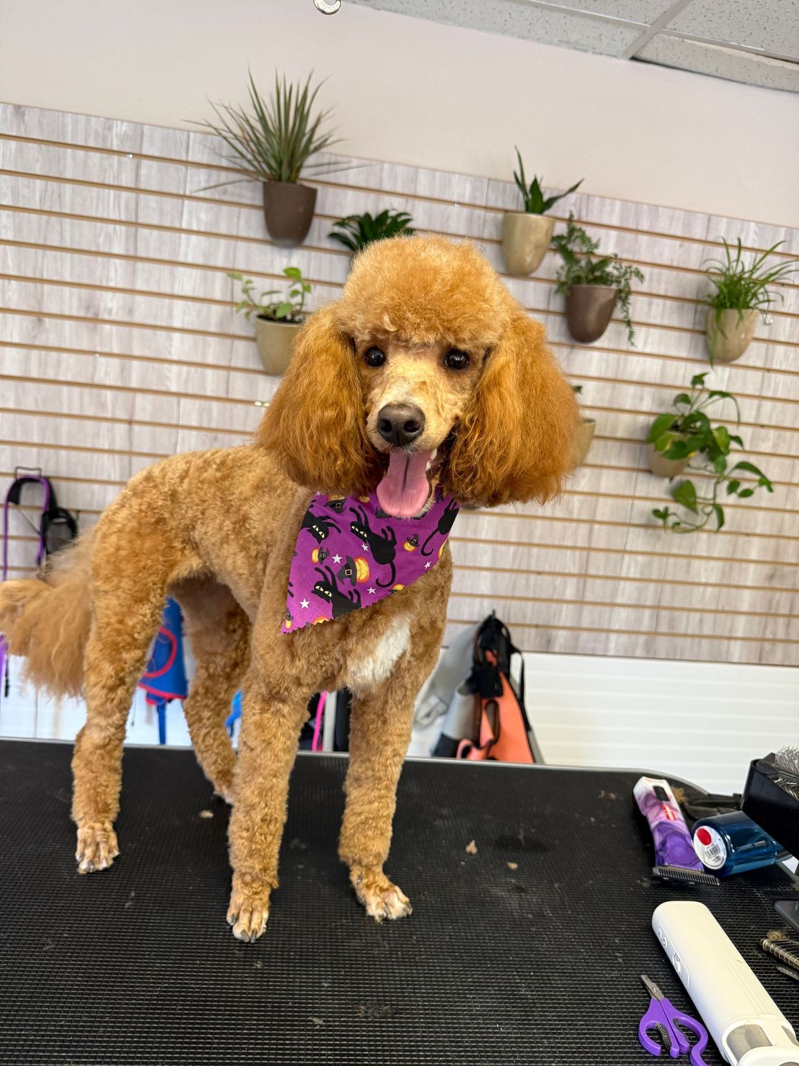 It's all about the curl!