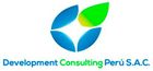 DEVELOPMENT CONSULTING PERU SAC.