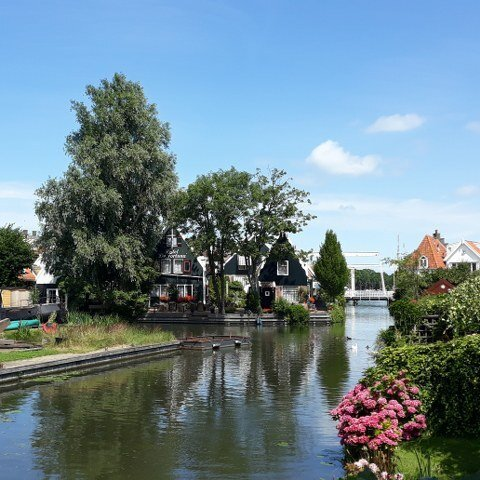 Typical green wooden houses of the eighteenth century along a canal in Edam near Amsterdam