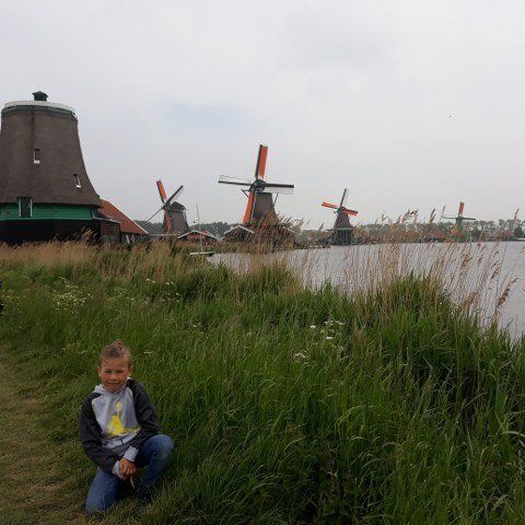 Windmills of the Zaanse Schans in a polder landscape near Amsterdam