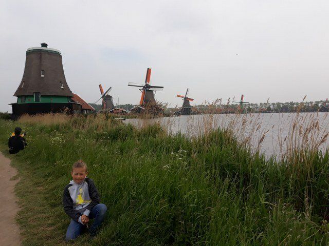 Molens van de Zaanse Schans in een polderlandschap in de buurt van Amsterdam