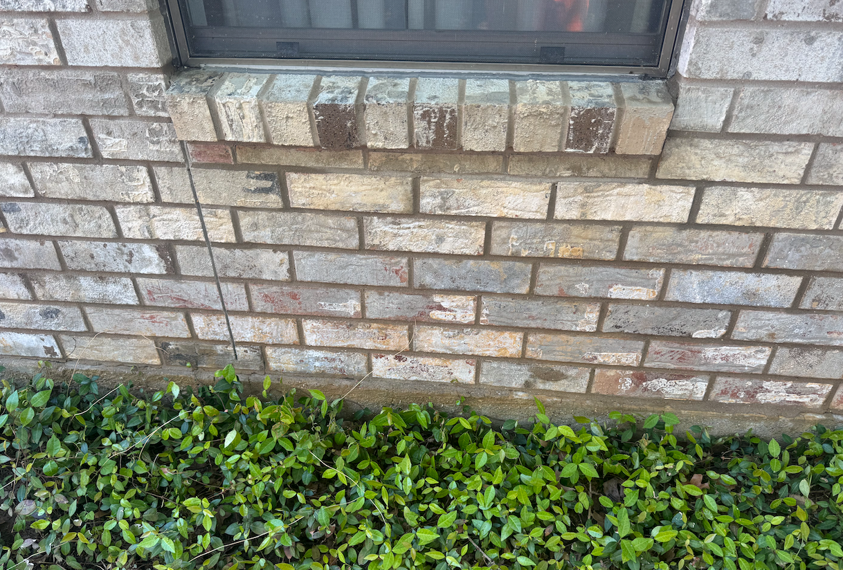 A brick wall with a window and a bush in front of it.