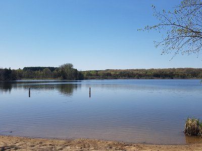 A large body of water with a beach in the foreground and trees in the background.