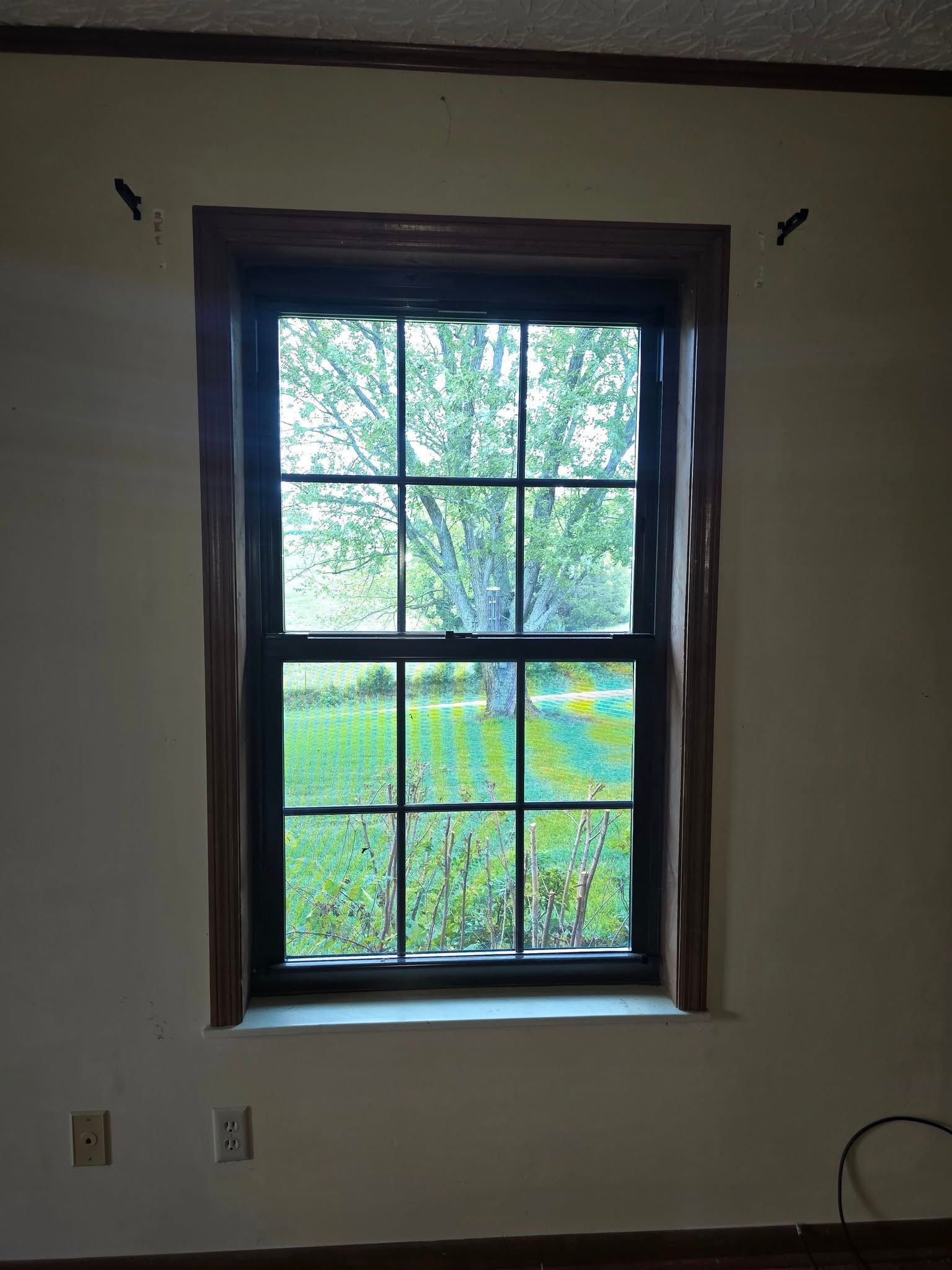 Window with brown frame, showing a tree outside. Beige wall, two outlets below.