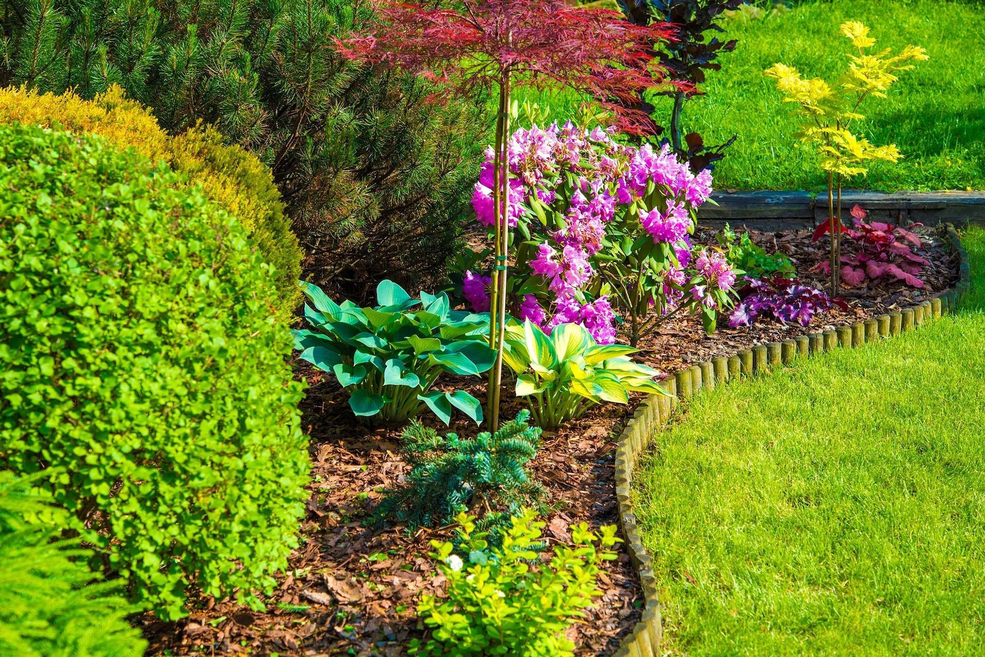 A garden filled with lots of different types of plants and flowers.
