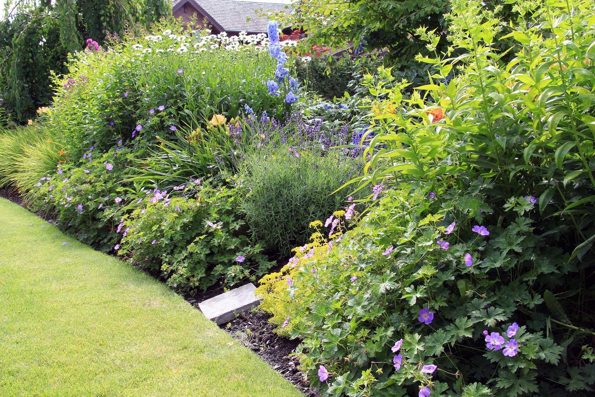 A garden filled with lots of plants and flowers.