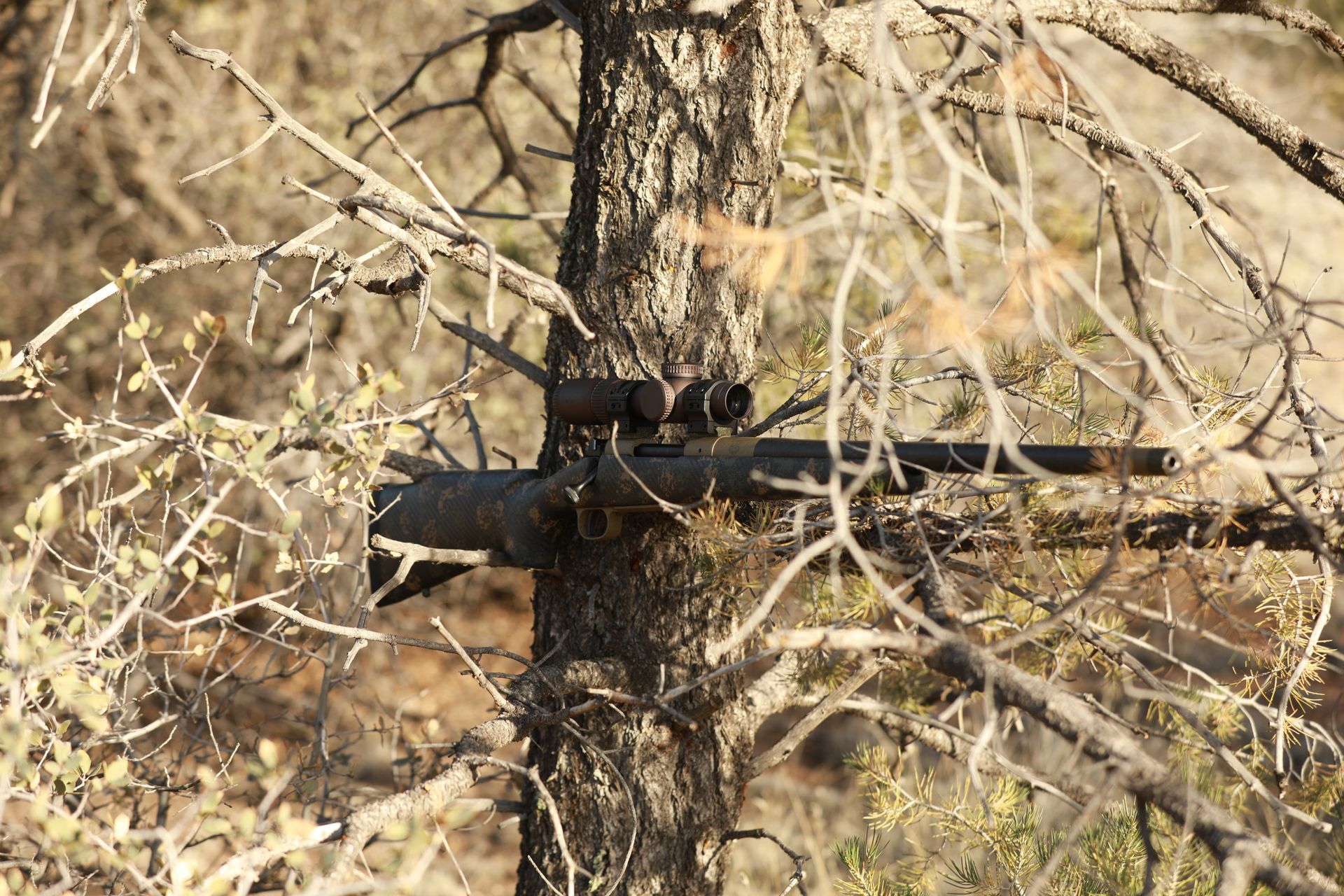 Rifle with scope resting on a tree branch, camouflaged by surrounding branches.