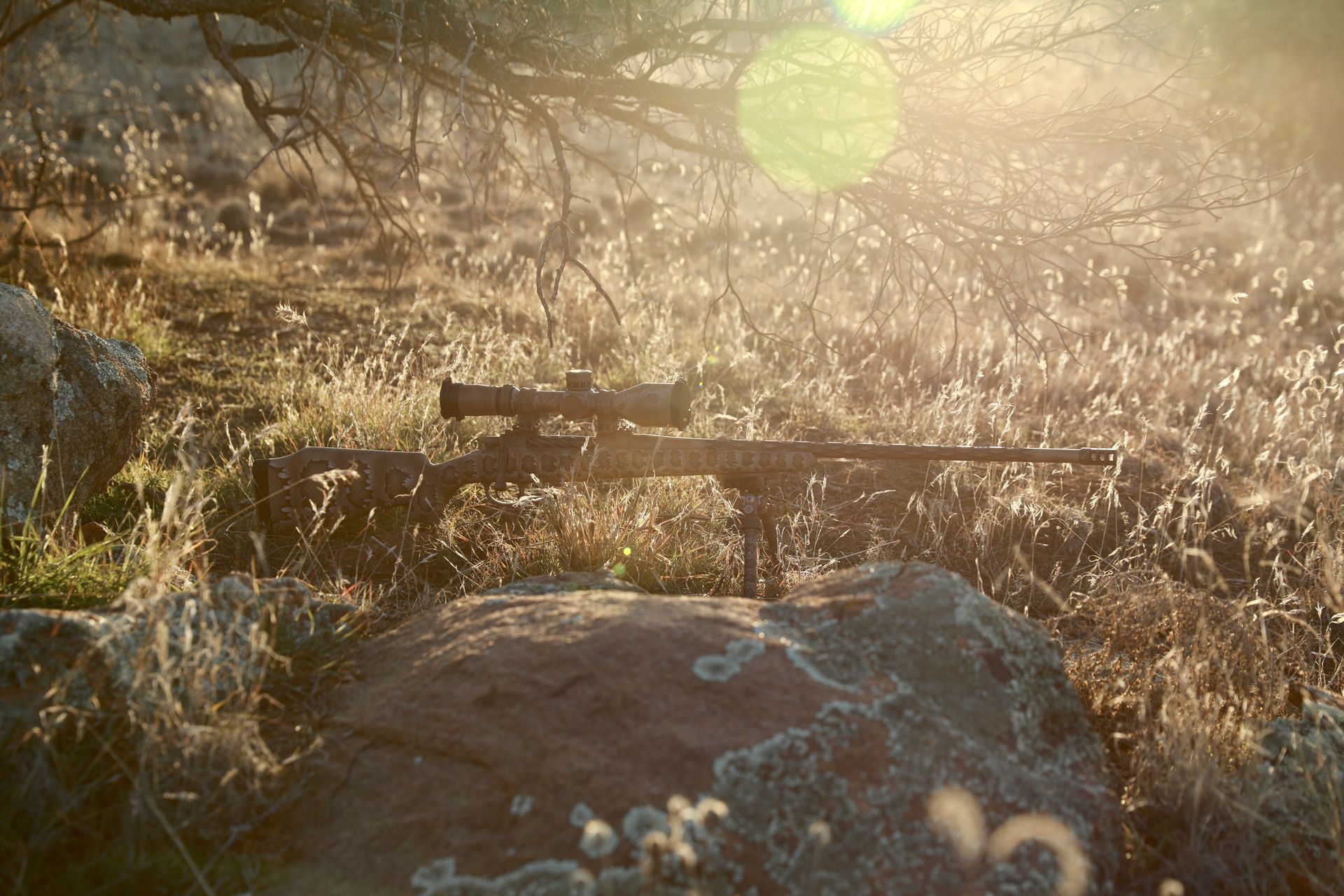 A rifle with a scope rests on a rock in a field, bathed in sunlight.