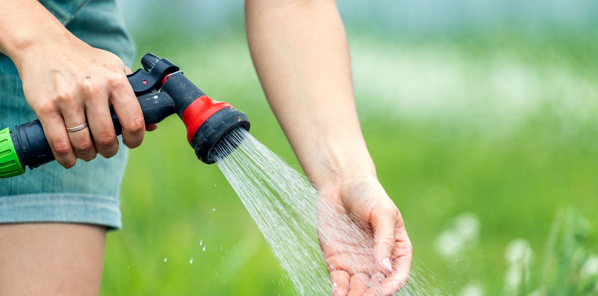 A person is watering a lawn with a hose.