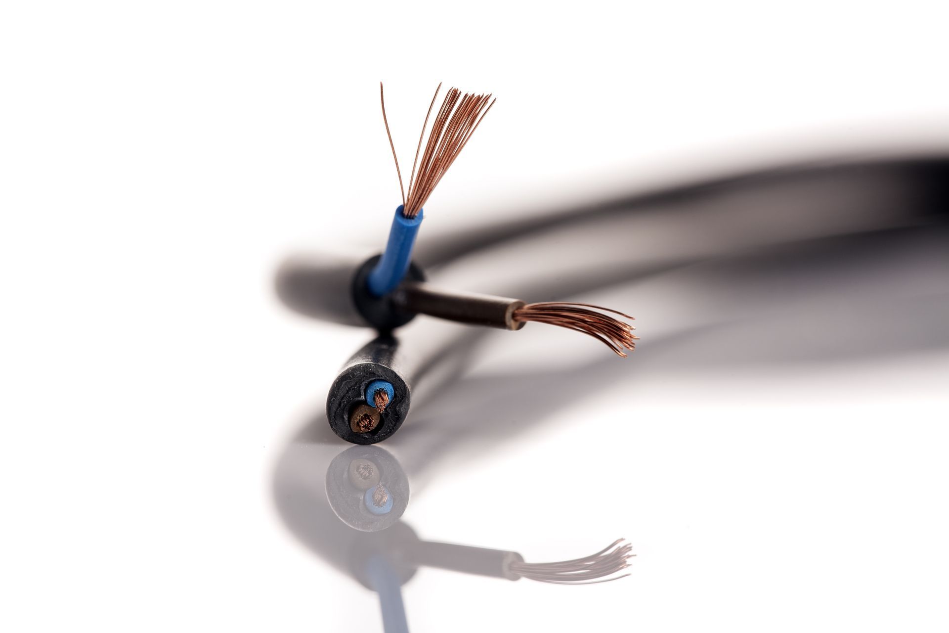 Two stripped electrical wires, black exterior, with blue and brown insulated wires.