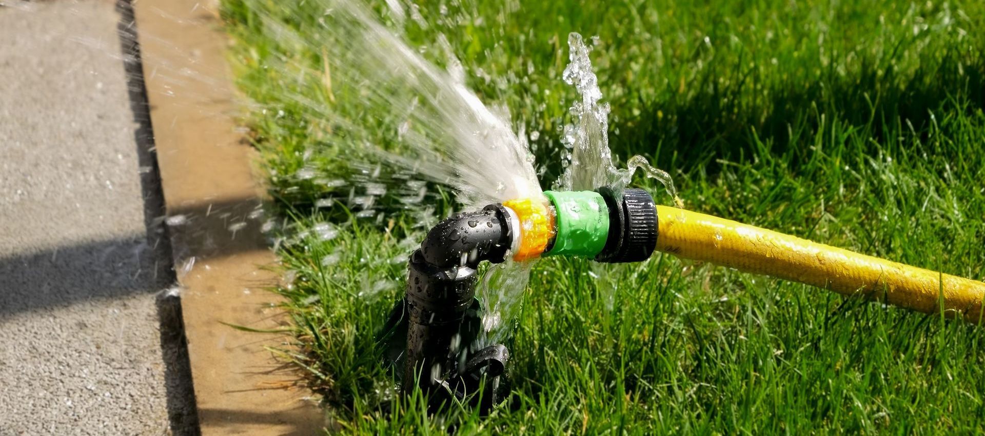 A hose is spraying water on a lush green lawn.
