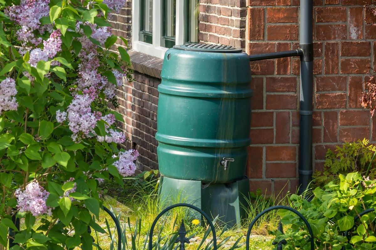 A person is watering a potted plant with a hose