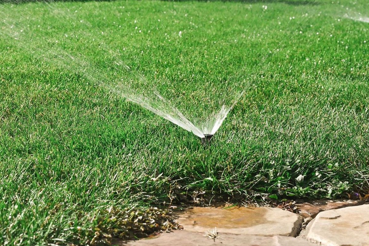 A person is watering a lawn with a hose.