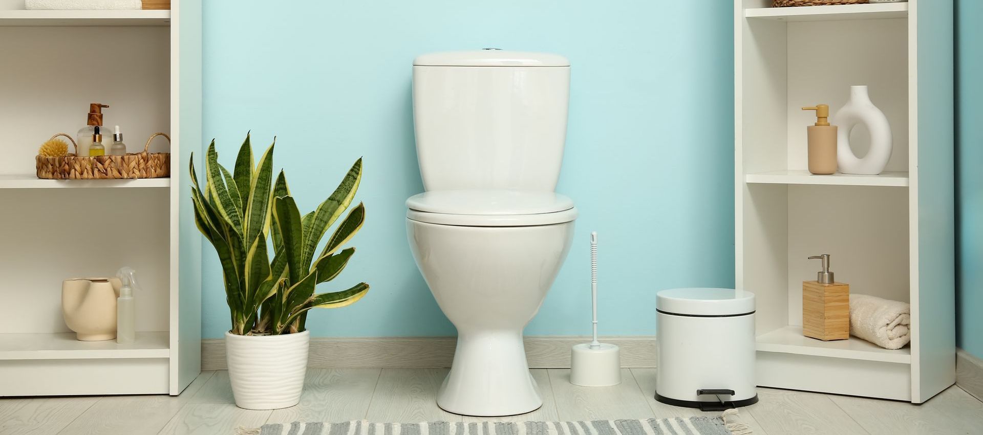 A bathroom with a toilet , shelves , plants and a ladder.