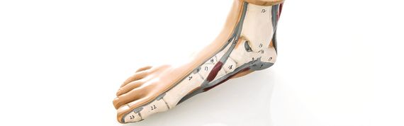 trattamenti  del piede da attuare per la prevenzione primaria in caso di diabete- Podologo Triverio Torino