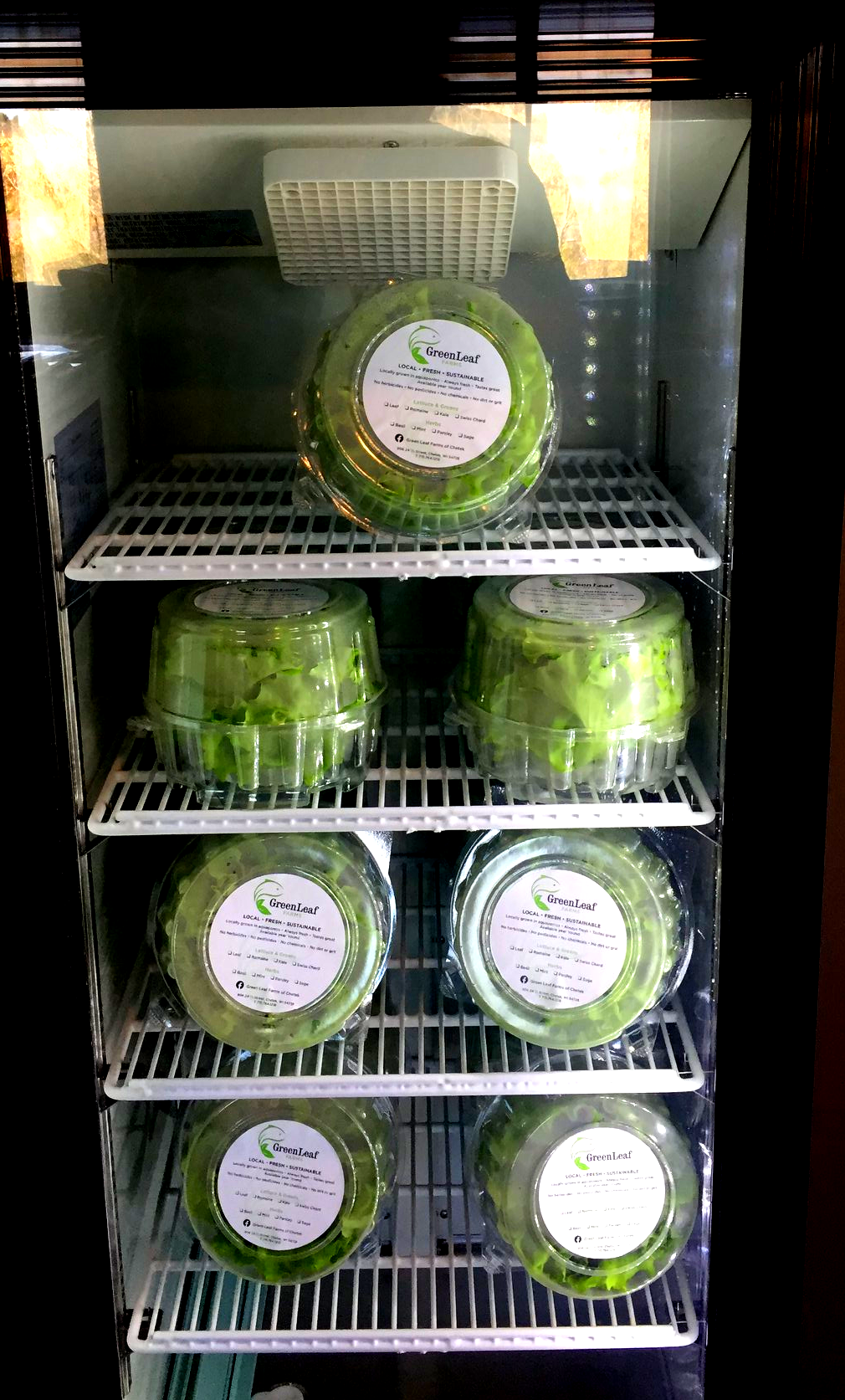 Clean Vegetables Kale Chetek, Bloomer, Barron Wisconsin chemical-free