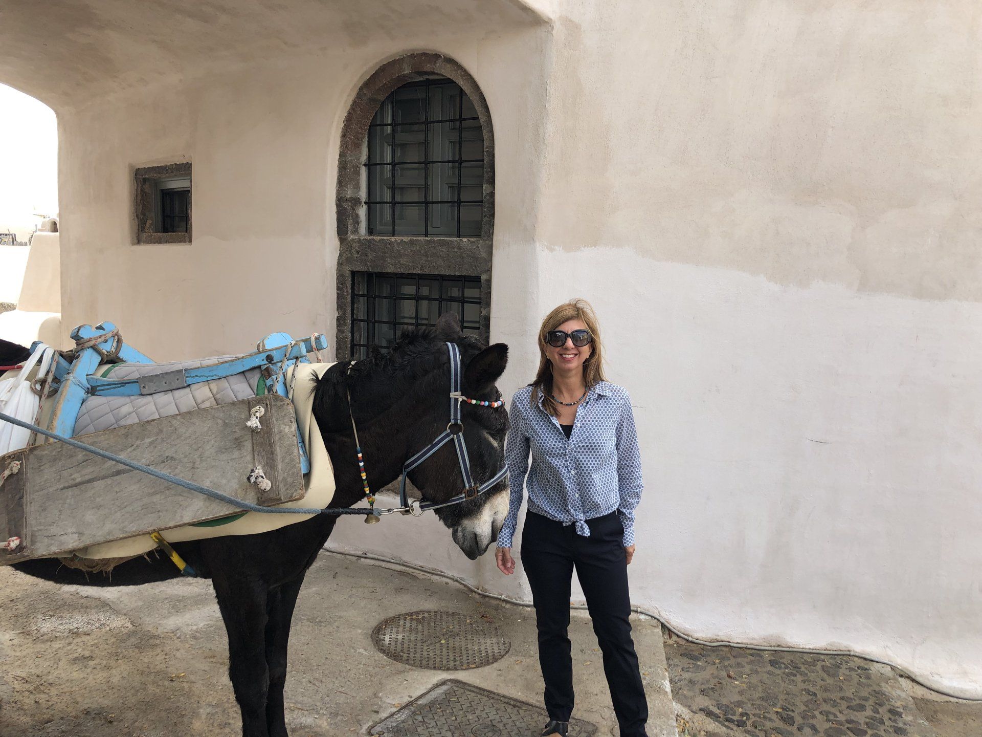 A woman is standing next to a donkey in front of a building.