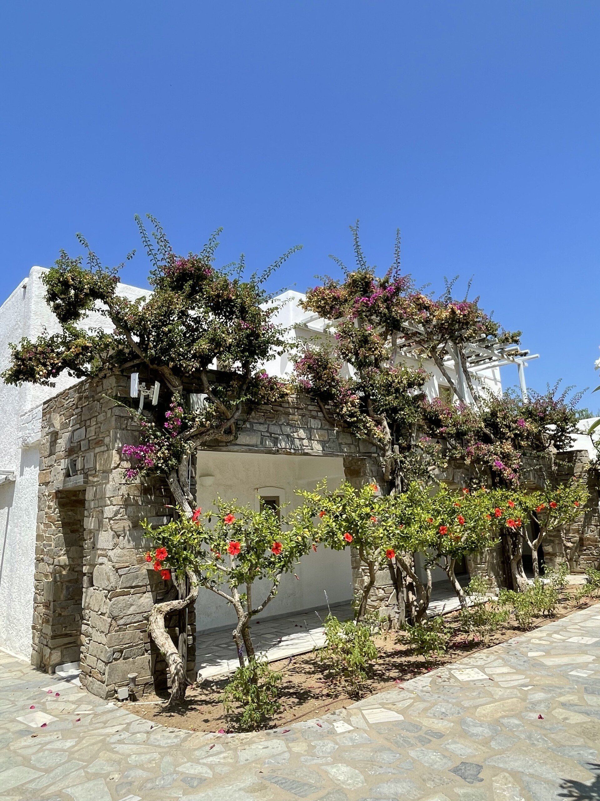 A white building with flowers growing on the side of it