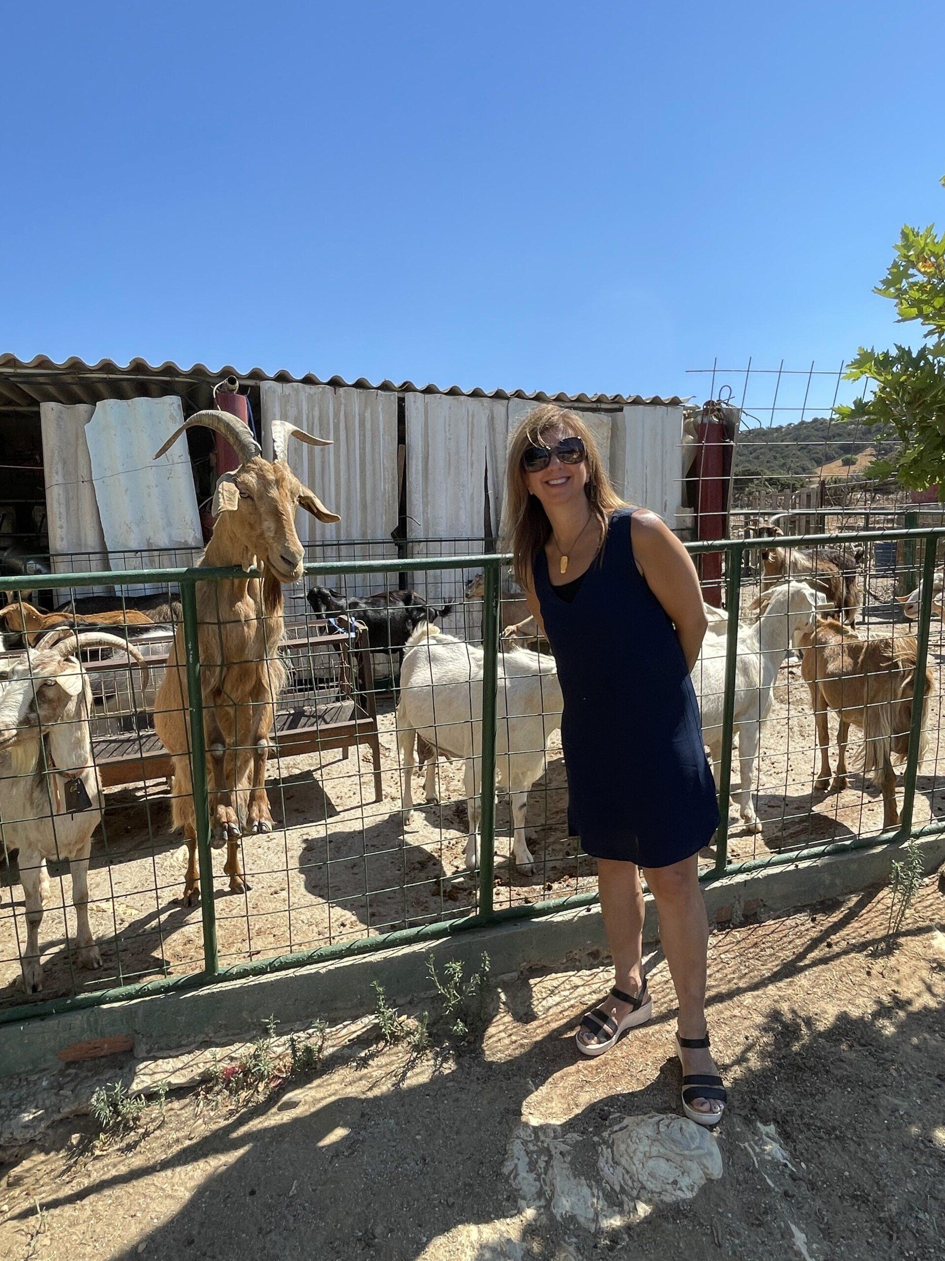 A woman in a blue dress is standing in front of a fence surrounded by goats.