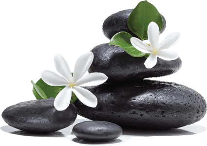 Hot Stone Massage Rocks