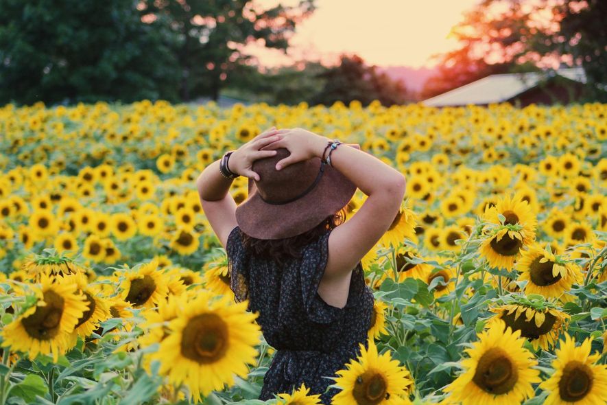 A woman in a hat is standing in a field of sunflowers.