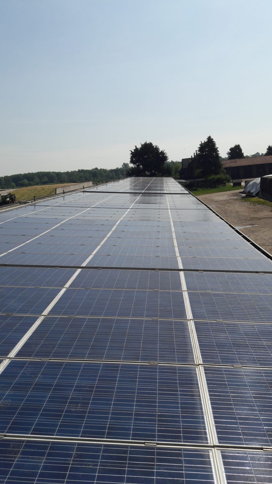 Una fila di pannelli solari sono allineati in un campo