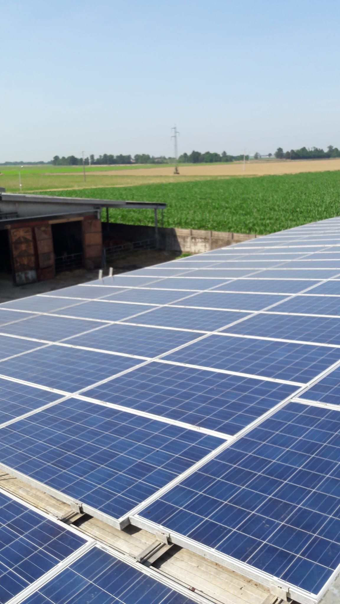 Una fila di pannelli solari su un tetto con un campo sullo sfondo.