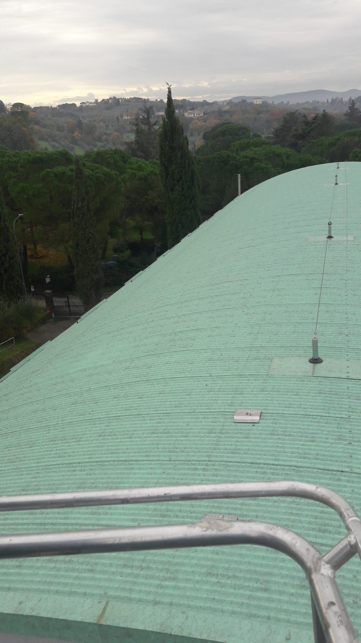 Un tetto verde con una ringhiera metallica e alberi sullo sfondo.