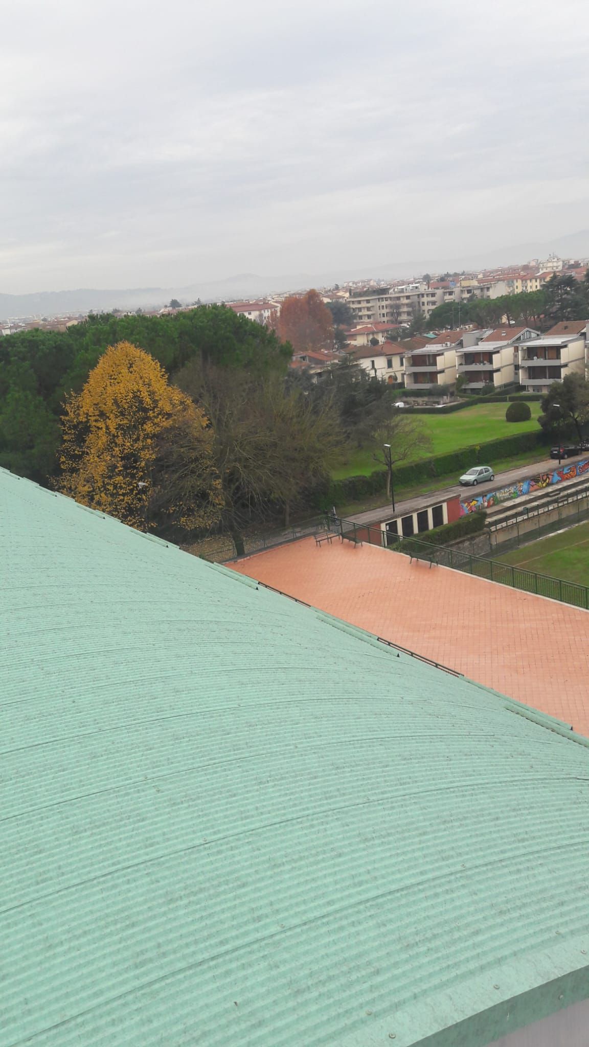Una vista aerea di un tetto verde con una città sullo sfondo