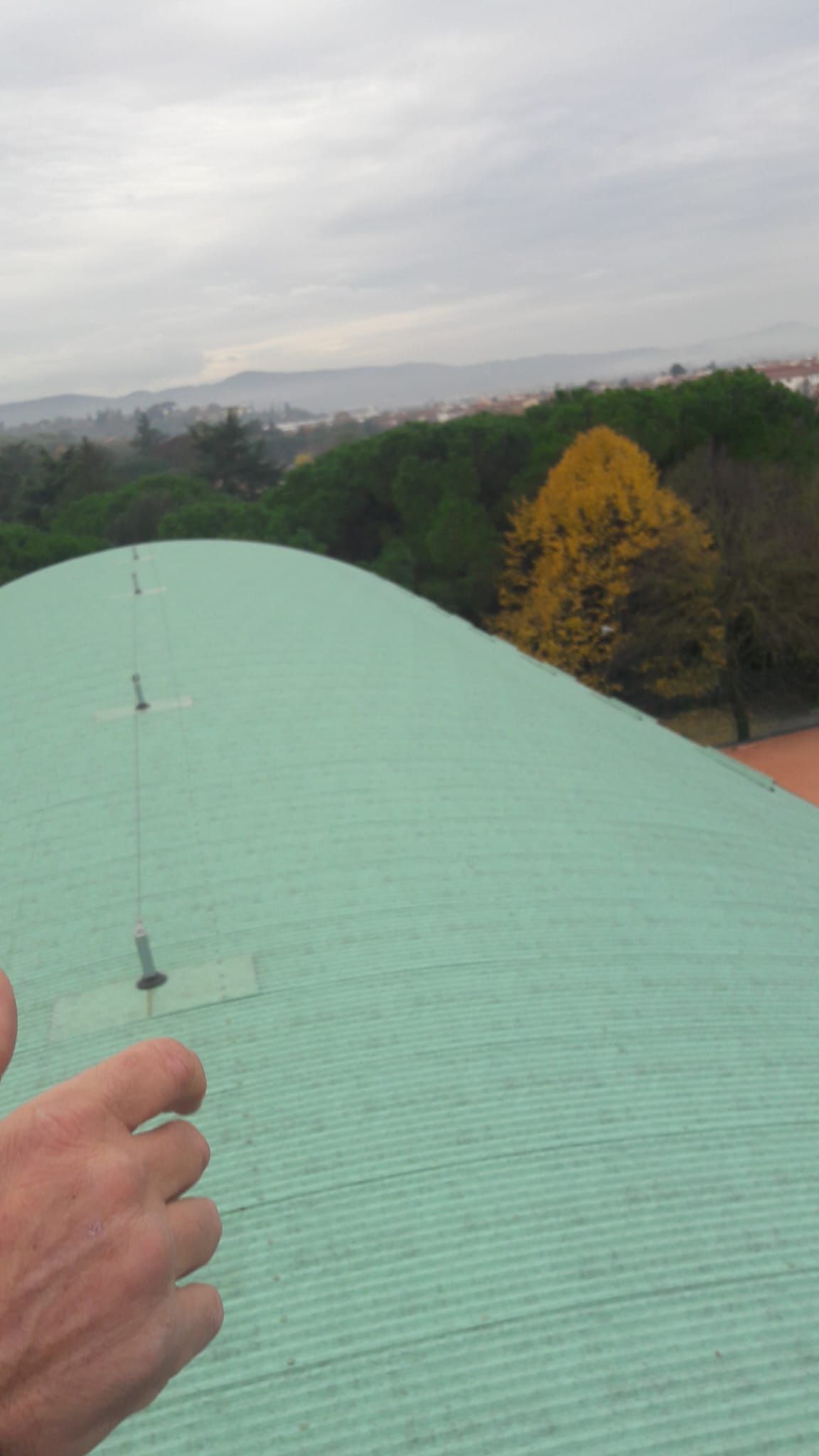 Una persona indica un tetto verde con alberi sullo sfondo.