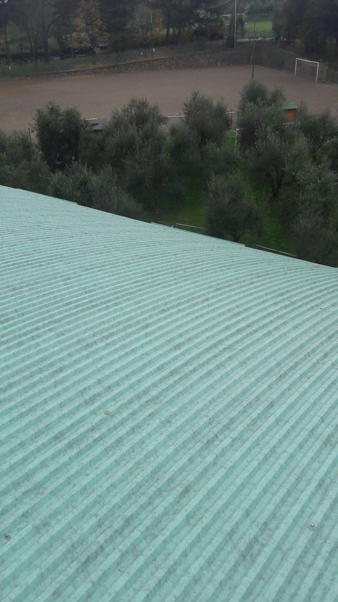 Un tetto verde con alberi sullo sfondo e un fiume sullo sfondo.