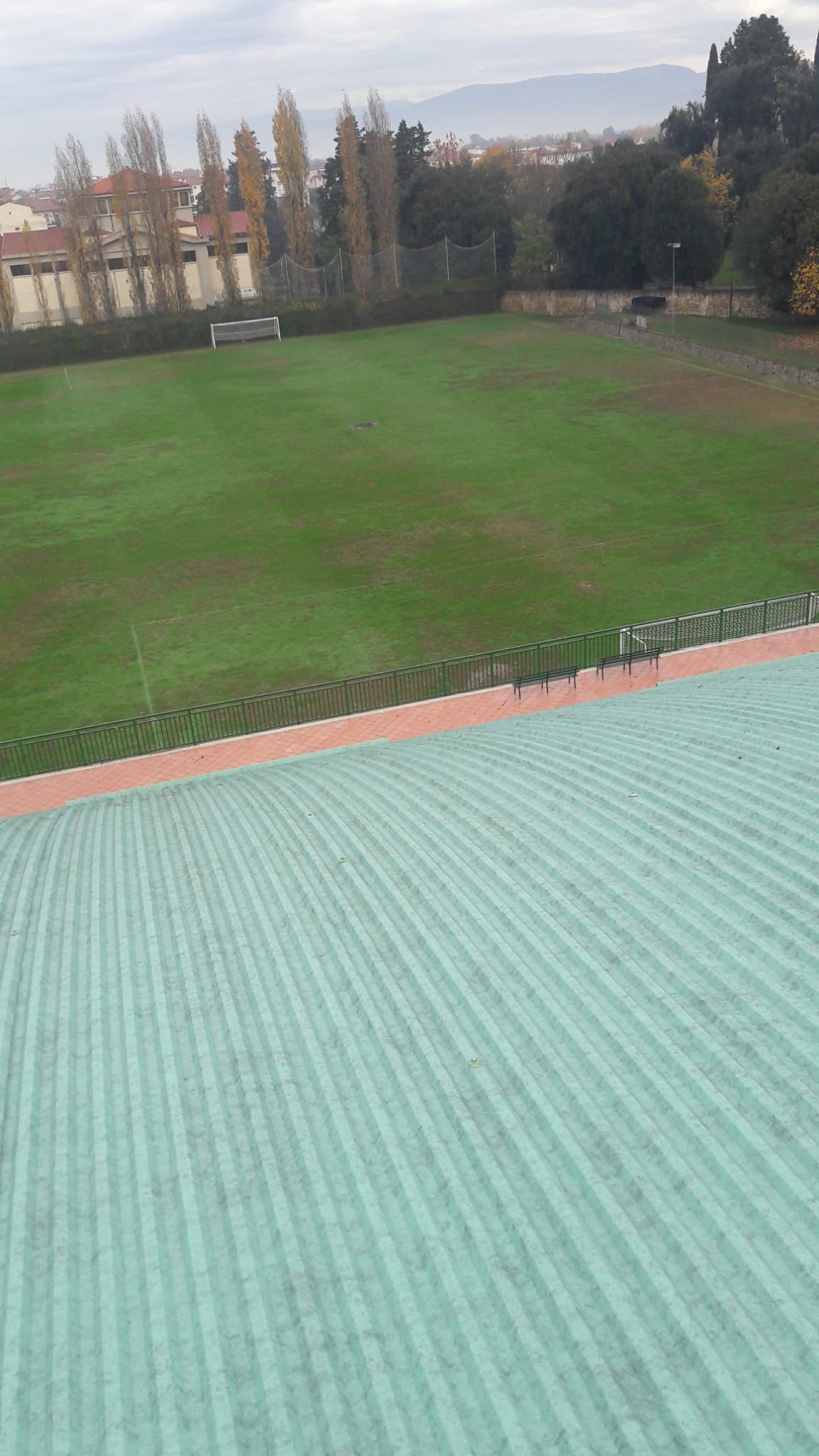 Una vista di un lussureggiante campo verde dal tetto di un edificio.
