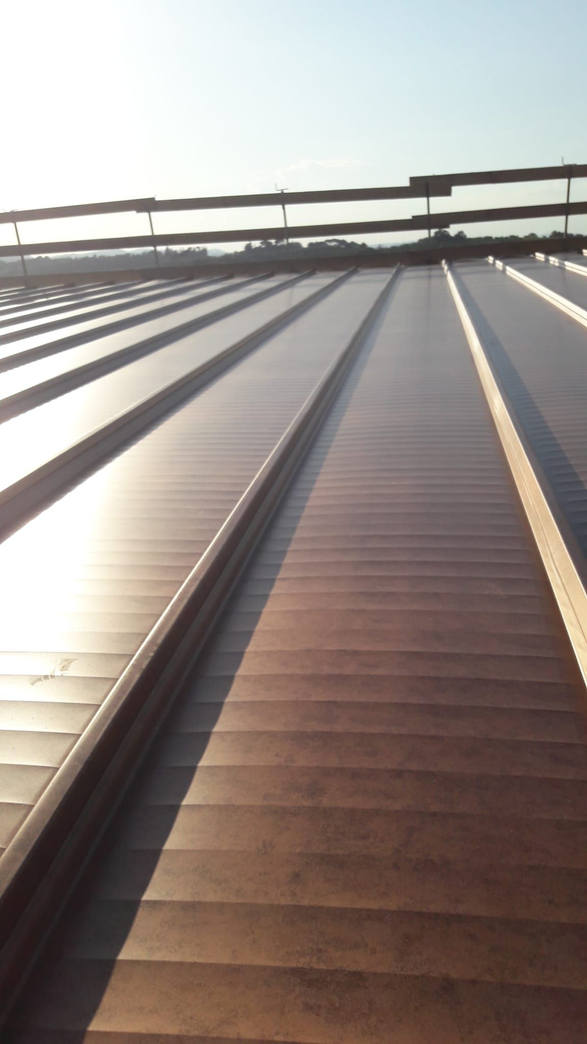 Guardando in alto verso il tetto di un edificio