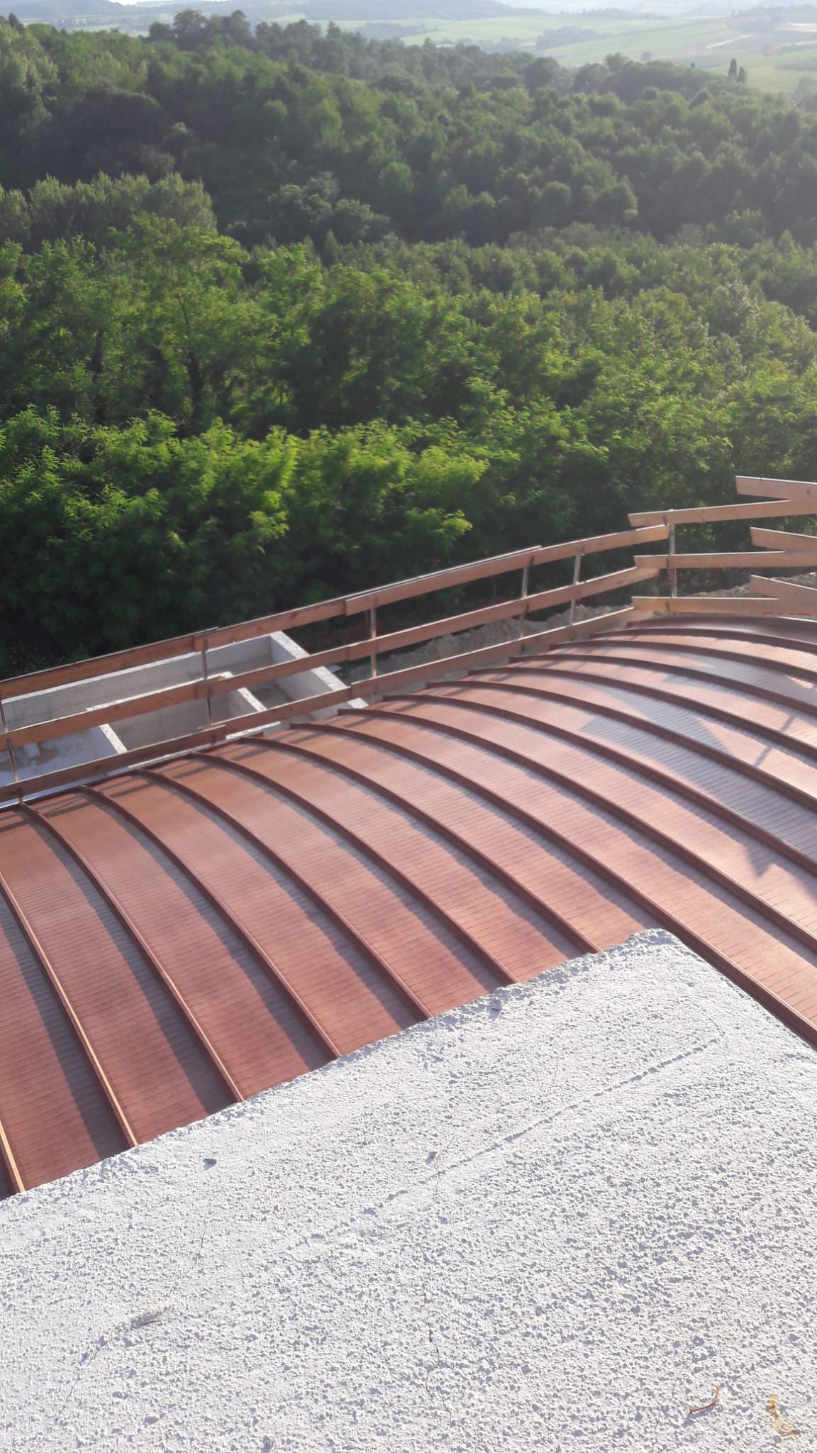 Un tetto con vista su una foresta sullo sfondo