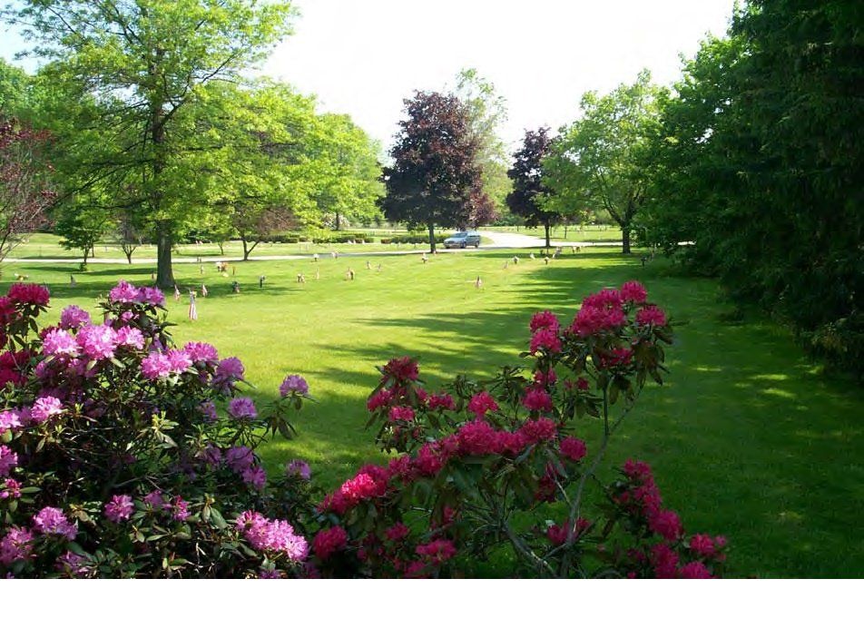 Photo of Temple Beth El cemetery in spring