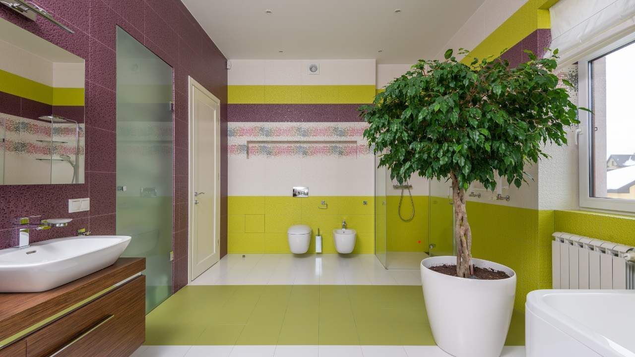 kitchen and bath painting