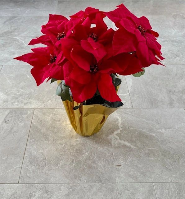 Red poinsettia in a gold pot on a tiled floor.