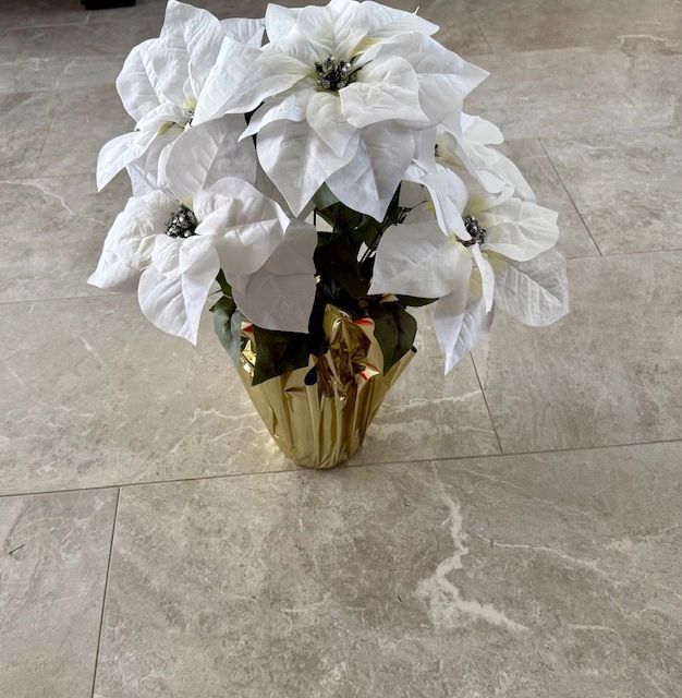 White poinsettia flowers in a gold vase on a light gray tiled floor.