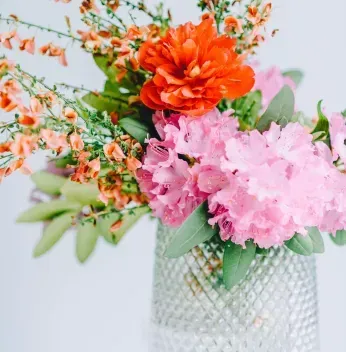 Flowers in clear glass vase: pink, orange blooms with green foliage, on white surface.