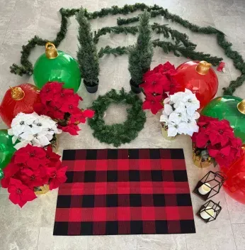 Christmas decorations including large ornaments, greenery, and a red plaid rug.