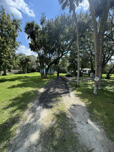 Gravel driveway leading to trees and a small building under a blue sky, with some dark mulch in the center.