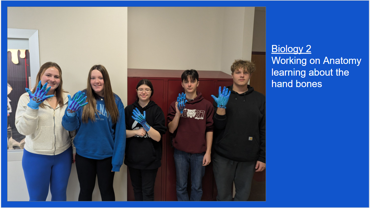 Students studying Anatomy learning about the hand bones