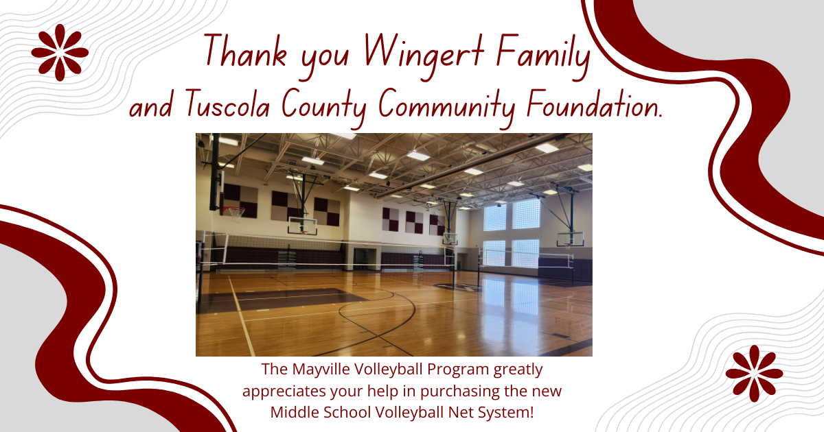 Picture of the new Volleyball Net System purchased with help from the Wingert Family and Tuscola County Community Fondation