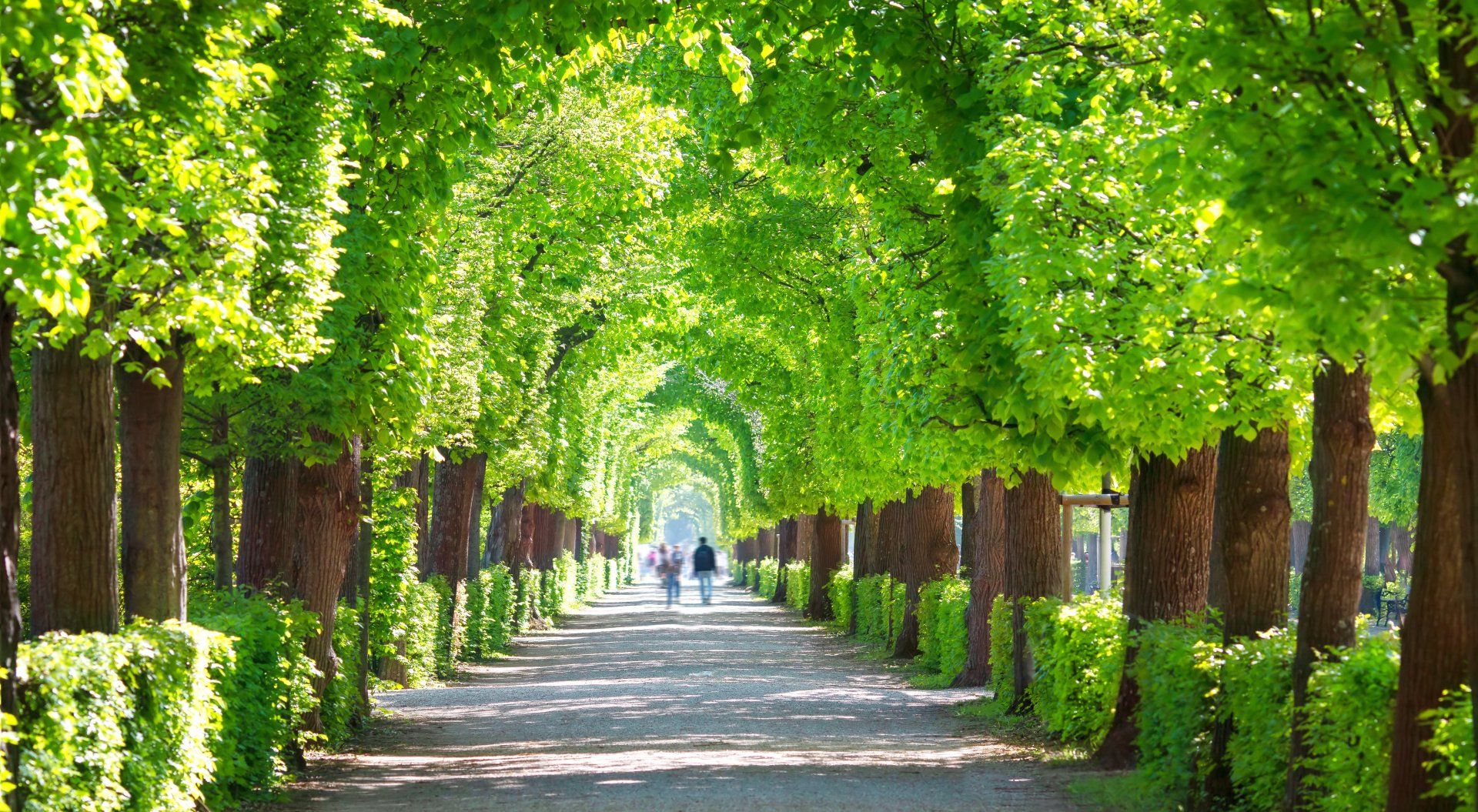Fertilizzanti per verde pubblico