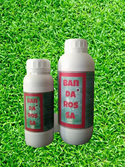 Fertilizzanti Bandaross