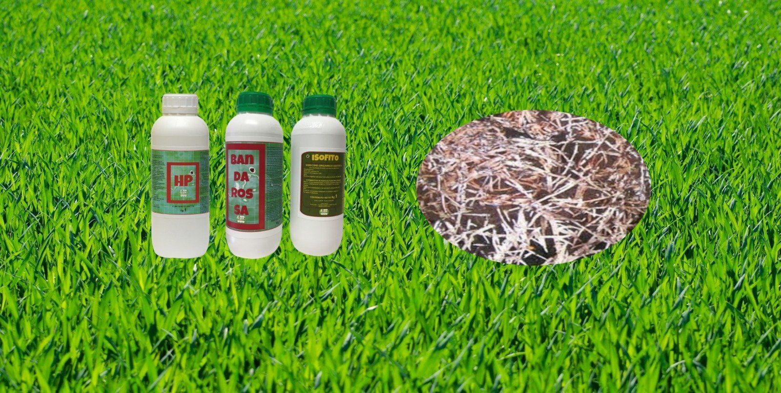 Fertilizzanti naturali