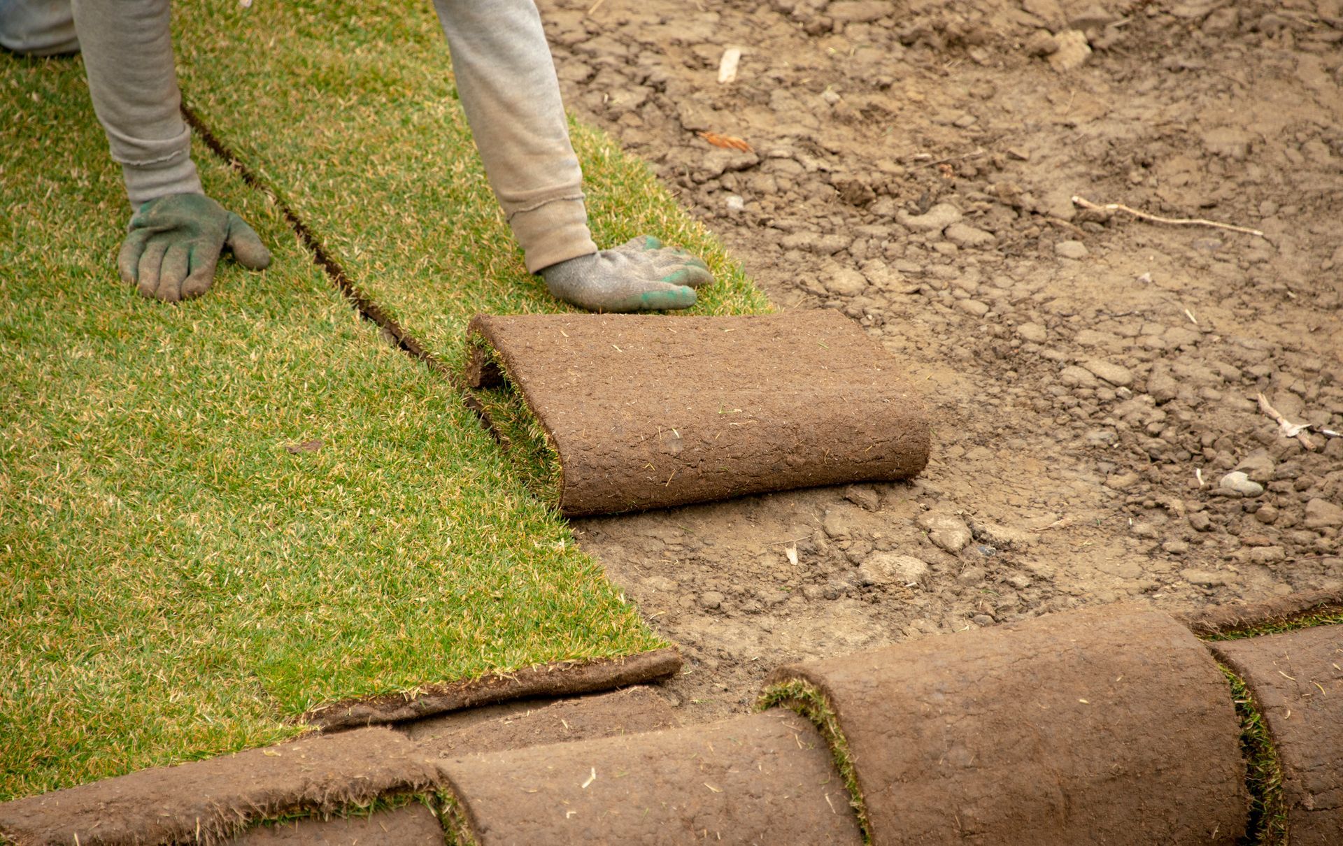 A stump grinder is grinding a tree stump in a yard.