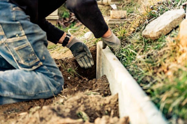 Garden Remodeling/Transformations