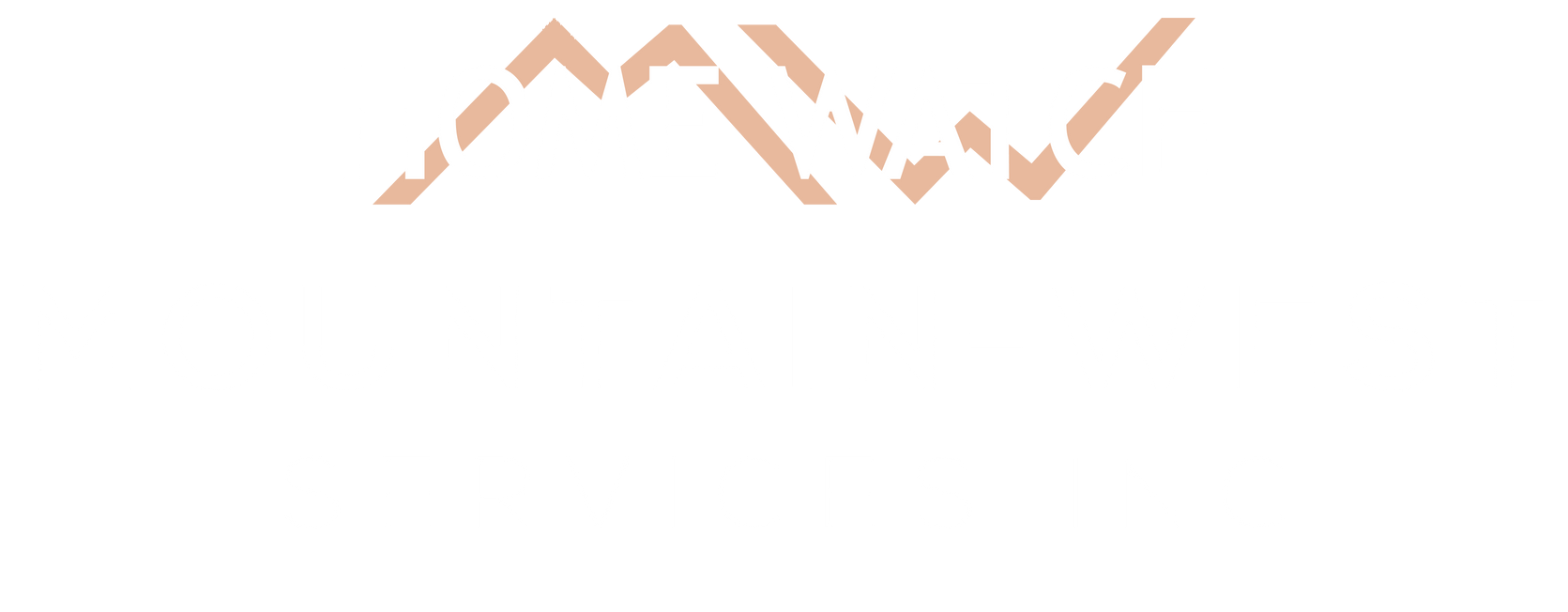 Mountain-West Services Inc logo