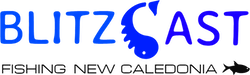 A blue and white logo for blitz cast fishing new caledonia LIFECELL Client relationships
